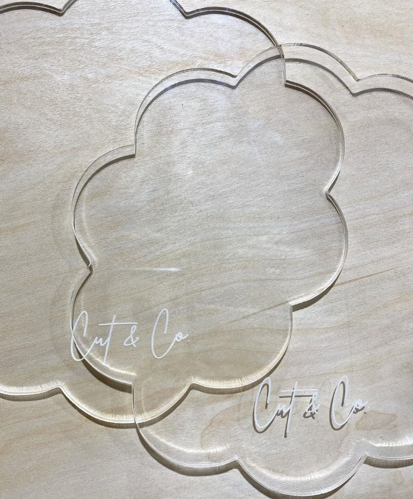 500mm x 300mm 50W CNC CO2 Laser Machine RSX50-3050 by Redsail